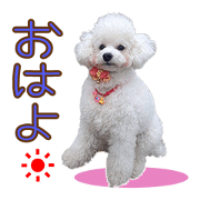 TAMATEN'S DIARY Sticker