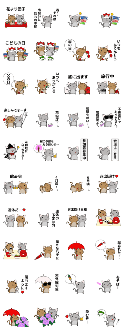 Cat ASHver kitten's spring