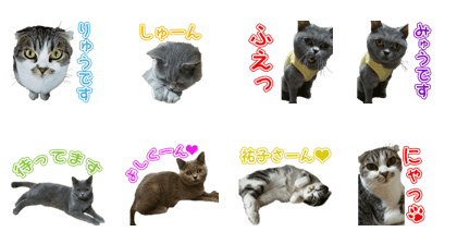 Myumyu and Ryu's Sticker