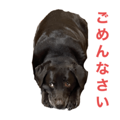 takashi_20210123171807