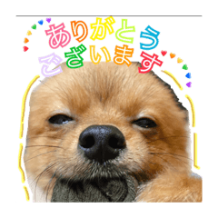 Hikari_20210123162119