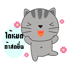 Little Cat sticker