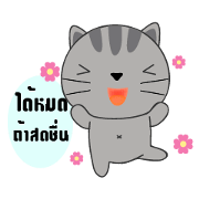Little Cat sticker