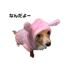 miki_20210123170424