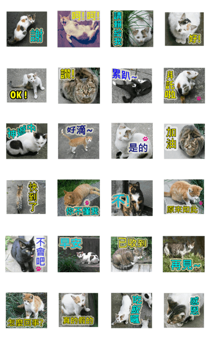 Street cat emoticons _ 1