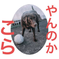 takashi_20210123202827