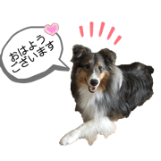 Sana_20210123214229