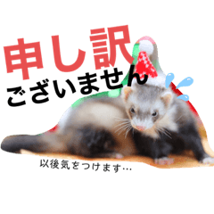 ponzu no oshigoto