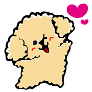 It is Toi of the toy poodle