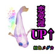 shoxichi_20210124084139