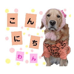 Honey_20210124090740