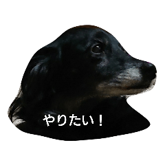 kurosuke_20210124092852