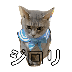 tomomi_20210123201650