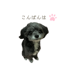 arisa_20210124101224