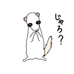 A ferret speaking Hiroshima dialect