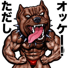 Tadashi dedicated Muscle macho animal