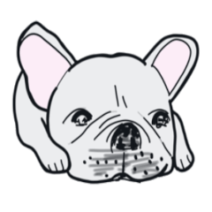 French bulldog is very cute