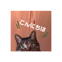yuka_20210123212142