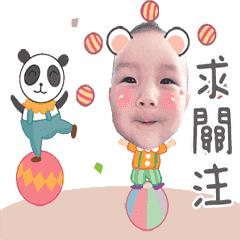 水手魚家族的楊Roy