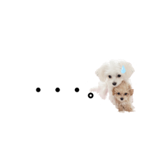 chopi_Tiffany&Coco