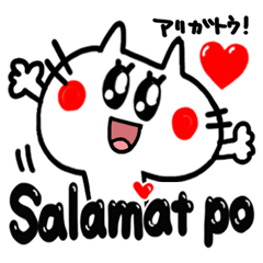 Tagalog language. New cute cat.