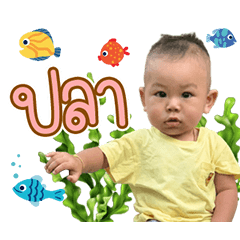 Baby Pordee 2