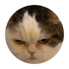 matsu_20210124114221