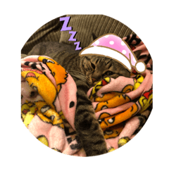 saori_20210124122148