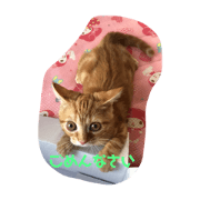 cocochan_20210124003230