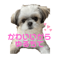 NATSUMI_20210124013813