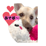 megu_20210124023206