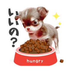 mizuki_20210124125207