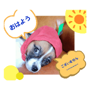RAN_20210124091344