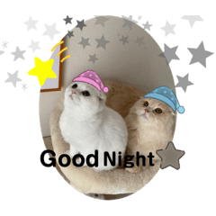 Popo&Pipit