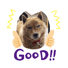 NATSUMI_20210124121703