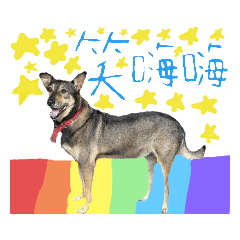 高品質頂級可樂 2～