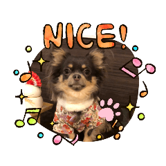 aoi_20210124151028