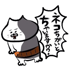Kansai dialect Uncle cat part16
