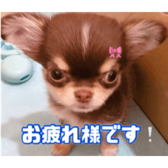 mizuki_20210124170632