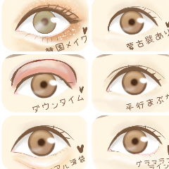 目の種類