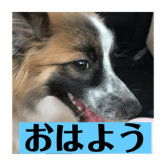 hANA_20210124213920