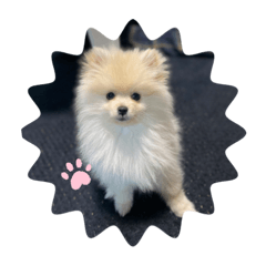 mimi_20210124223650