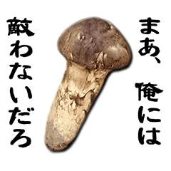 Invective mushroom book