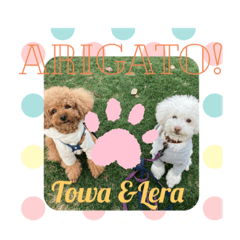 Sherry_20210125100005