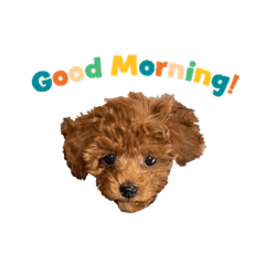 Dog daily conversation stamp