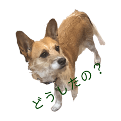 sherry_20210124223508