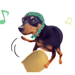 MOVING STICKER OF MINIATURE PINSCHER