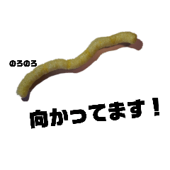 alice_20210124065014