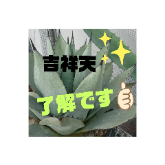 Yoshinobu_20210124214045