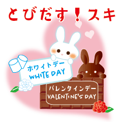 Valentine's Day and white day rabbit